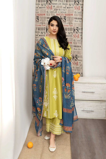 DHANAK 3PC EMBROIDERED