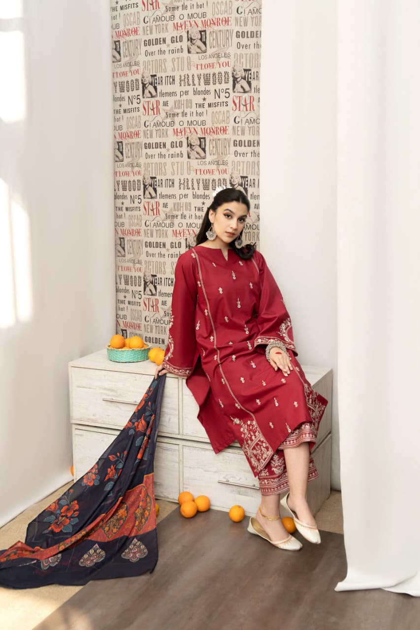 DHANAK 3PC EMBROIDERED